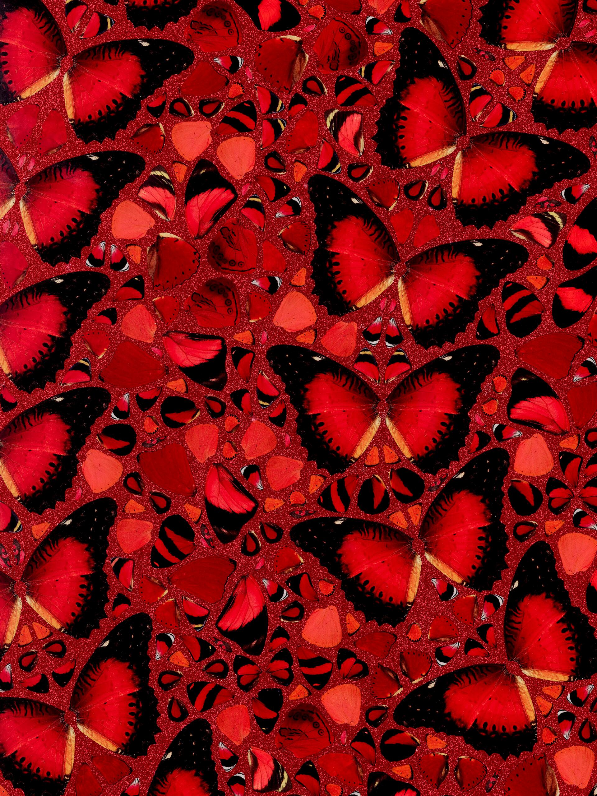 DAMIEN HIRST - EMPRESSES: TAYTU BETUL - Limited edition. Butterflies Glitter Red - Modern Print by Damien Hirst
