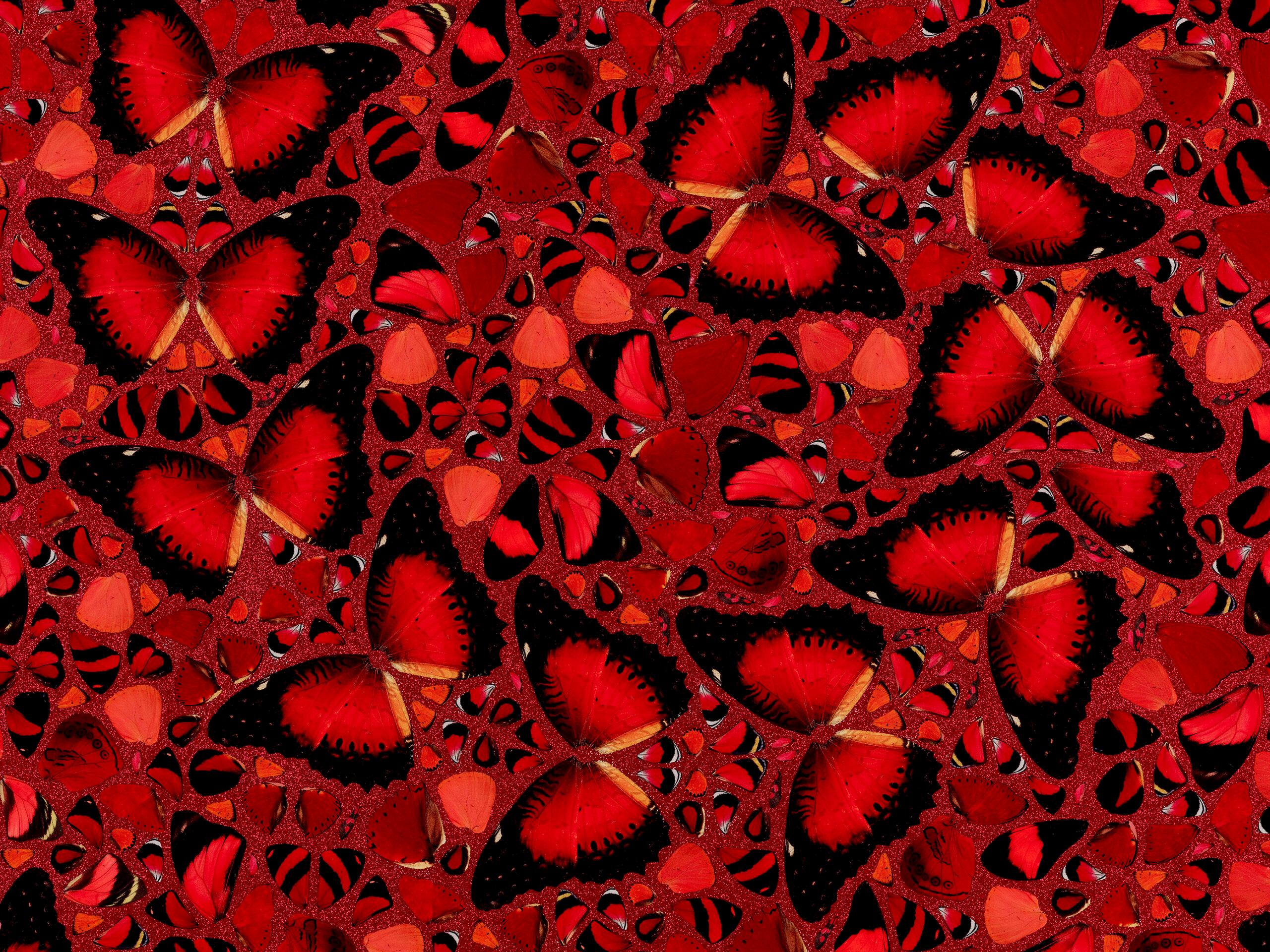 DAMIEN HIRST - EMPRESSES: TAYTU BETUL - Limited edition. Butterflies Glitter Red - Gray Figurative Print by Damien Hirst