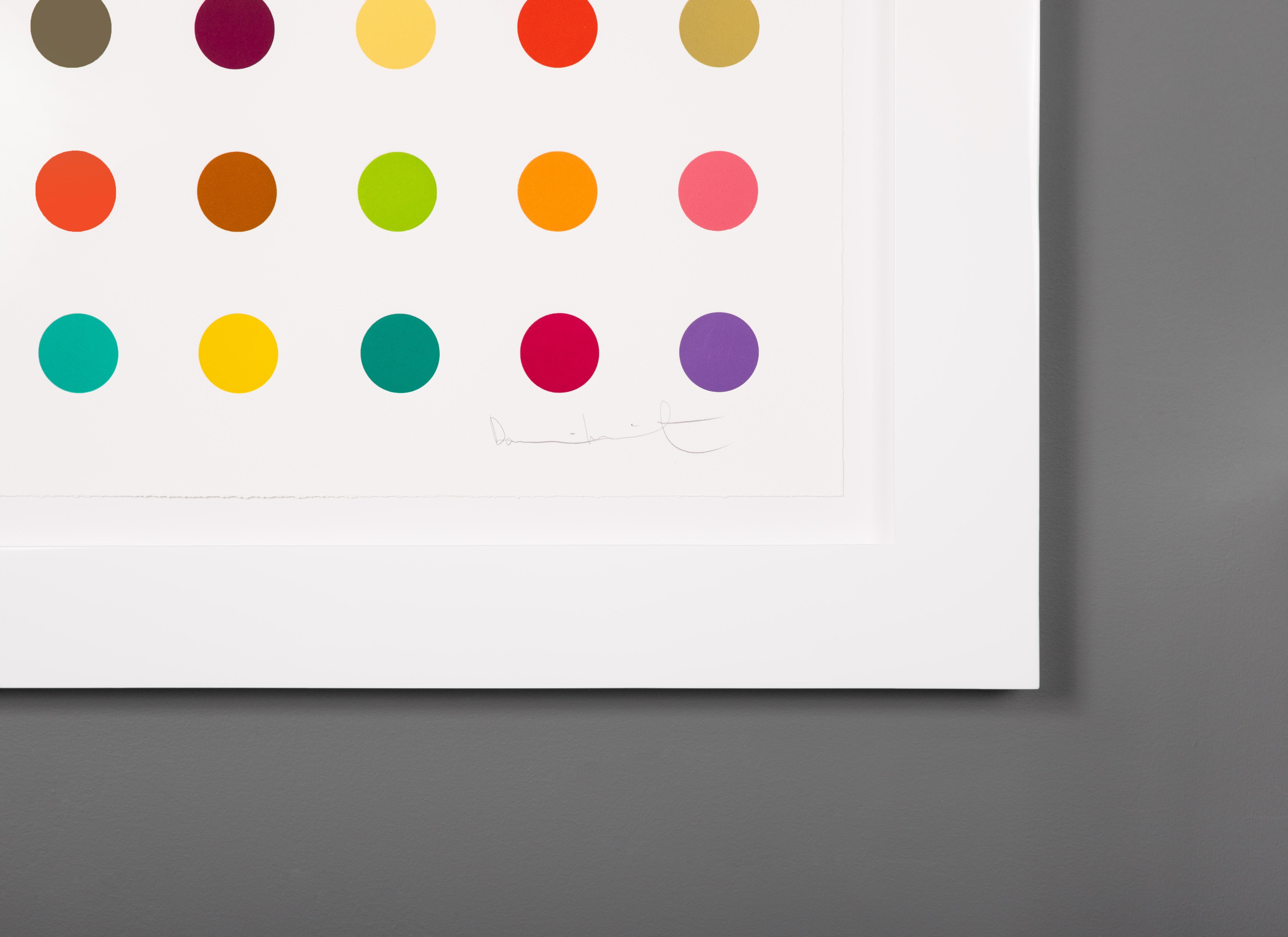 Damien Hirst 'Gly-Gly-Ala' Spots IV Spot Woodcut Print, 2016 For Sale 6