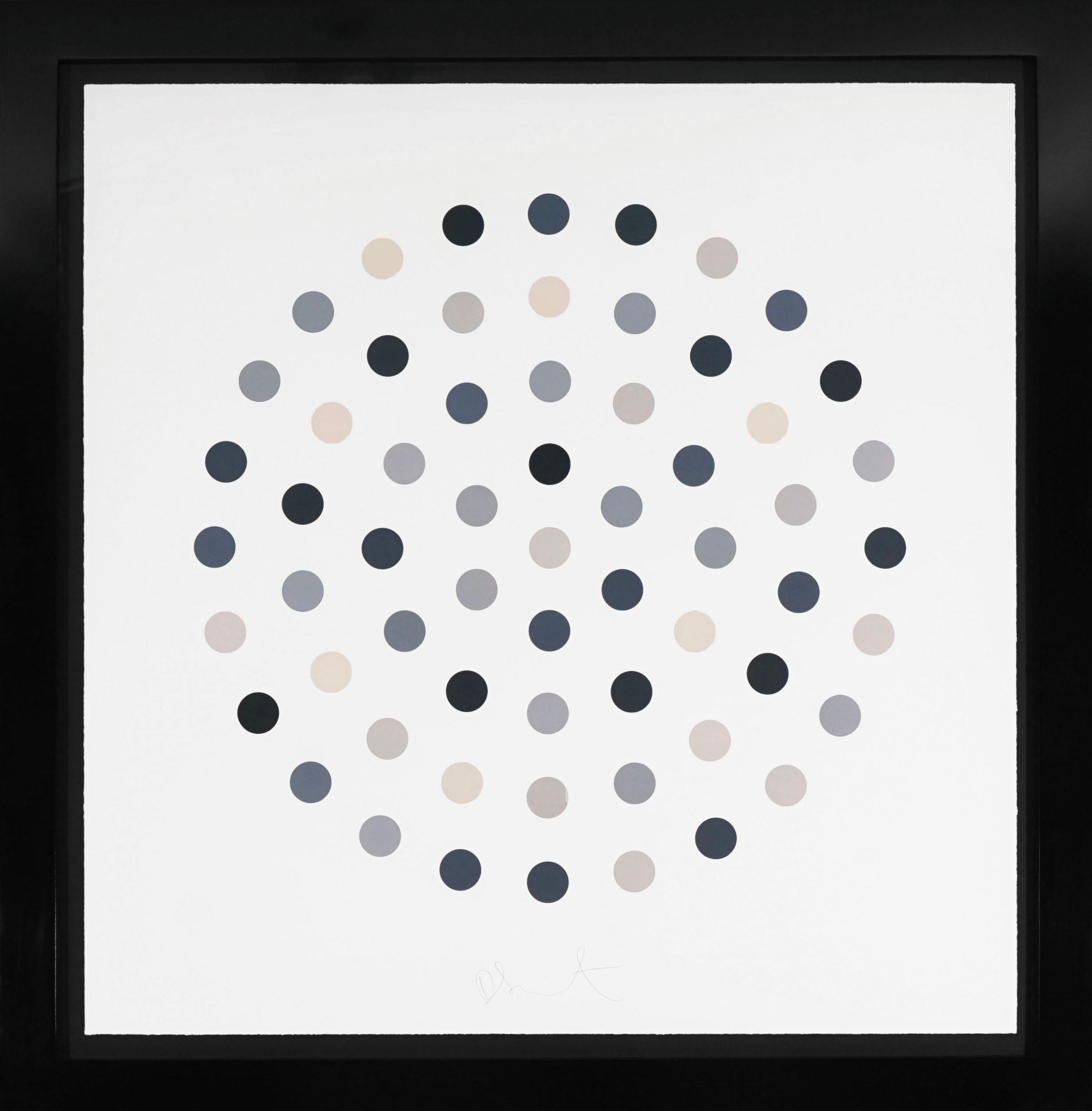 The Grey 'Spots' by Damien Hirst is an etching with aquatint in his signature, never repeated, palette of colors in variations of neutral greys. Signed by the artist in pencil on the lower center and numbered on verso. This artwork comes in a