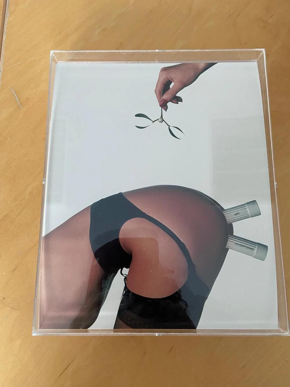 Damien Hirst - Ho Ho Ho, 1999 - Mistletoe Provocative Print, Framed For Sale 1