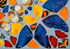Damien Hirst, « Kindness » (2011)