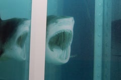 Damien Hirst Lenticular The Physical Impossibility of Death Limited of 150