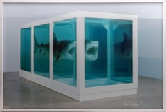 Damien Hirst Lenticular The Physical Impossibility of Death Limited of 150