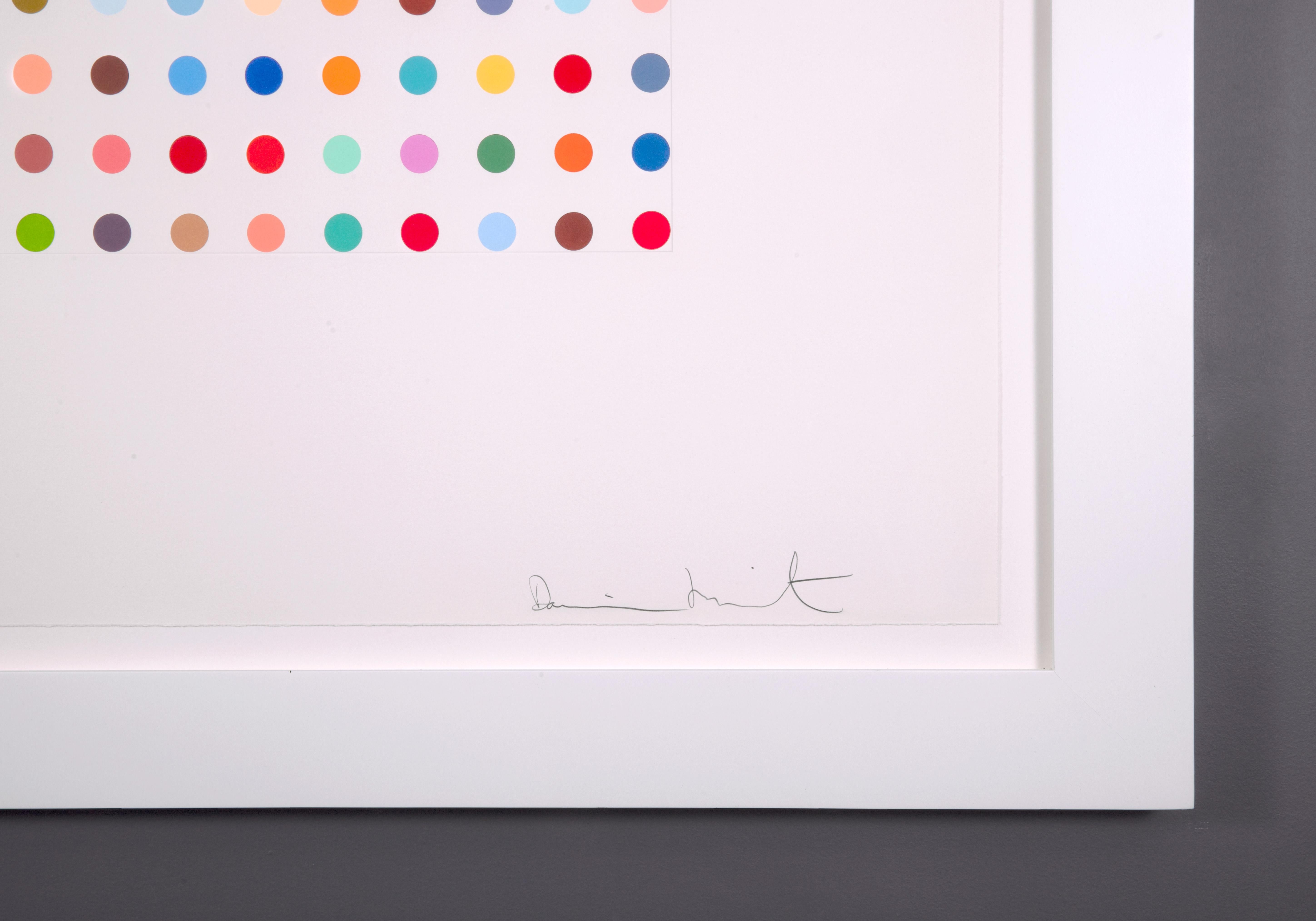Damien Hirst 'Pyronin Y' Limited Edition Spots Etching, 2005 4