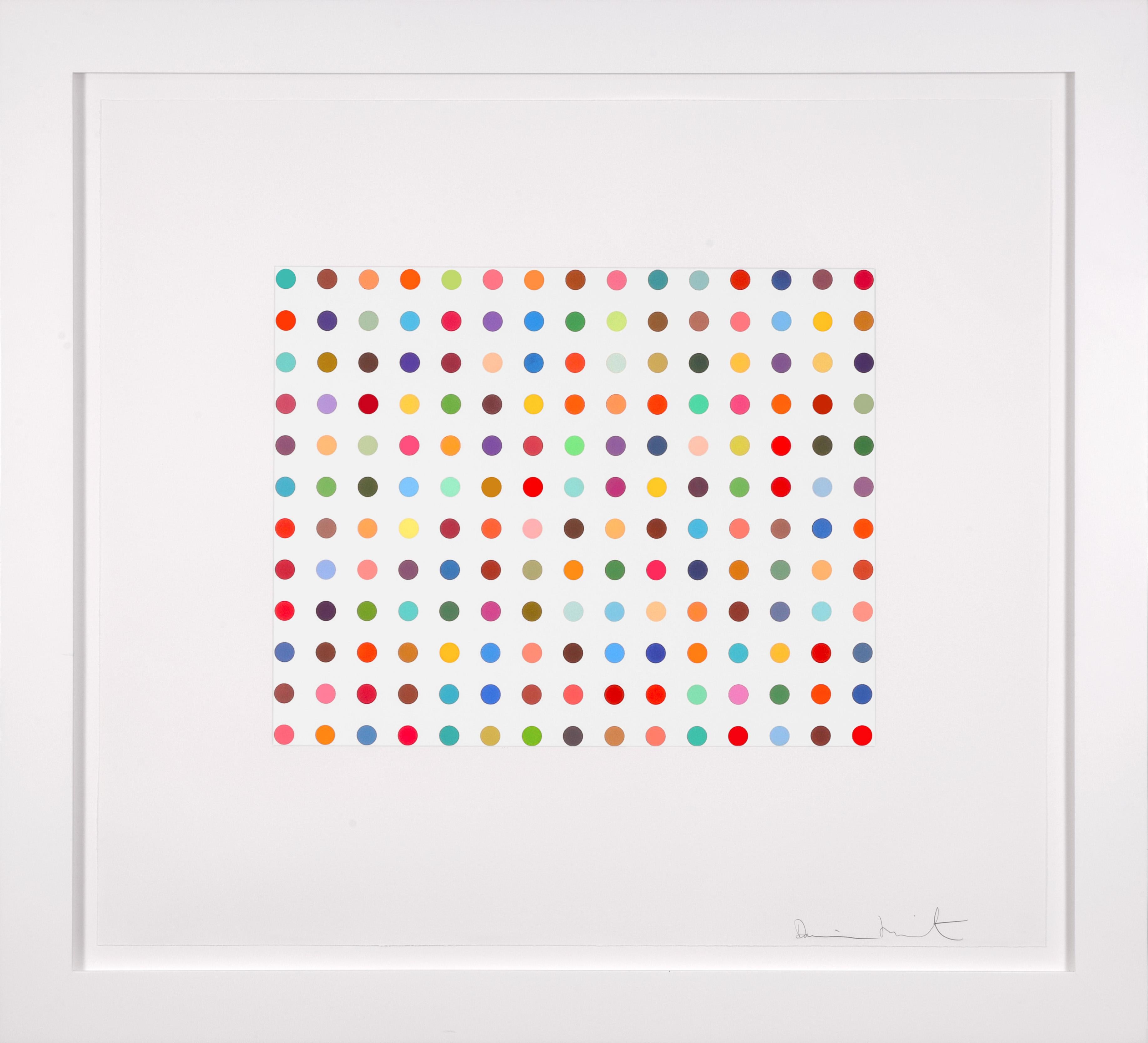 Damien Hirst 'Pyronin Y' Limited Edition Spots Etching on Hahnemühle paper, with full margins. Edition of 65 + 20 AP, numbered on verso, AP. Signed by the Artist on front. Published by the Paragon Press, London. This framed etching was created in