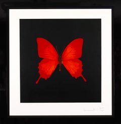 Damien Hirst, Radierung „Rote Schmetterlings Seele“, 2007