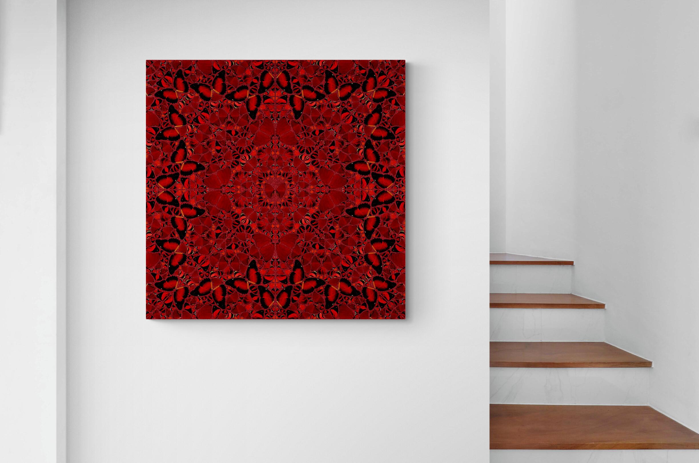 LE EMPRESSE: NŪR JAHĀN - Limitato, moderno contemporaneo. Farfalle Glitterate Rosse 5