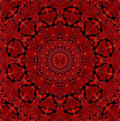 DAMIEN HIRST - EMPRESSES: SUIKO Limited Modern Butterflies glitter red