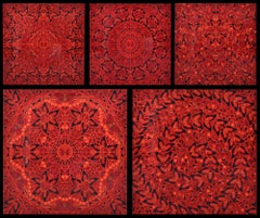 Damien Hirst THE EMPRESSES Suite di 5 stampe vendute in blocco