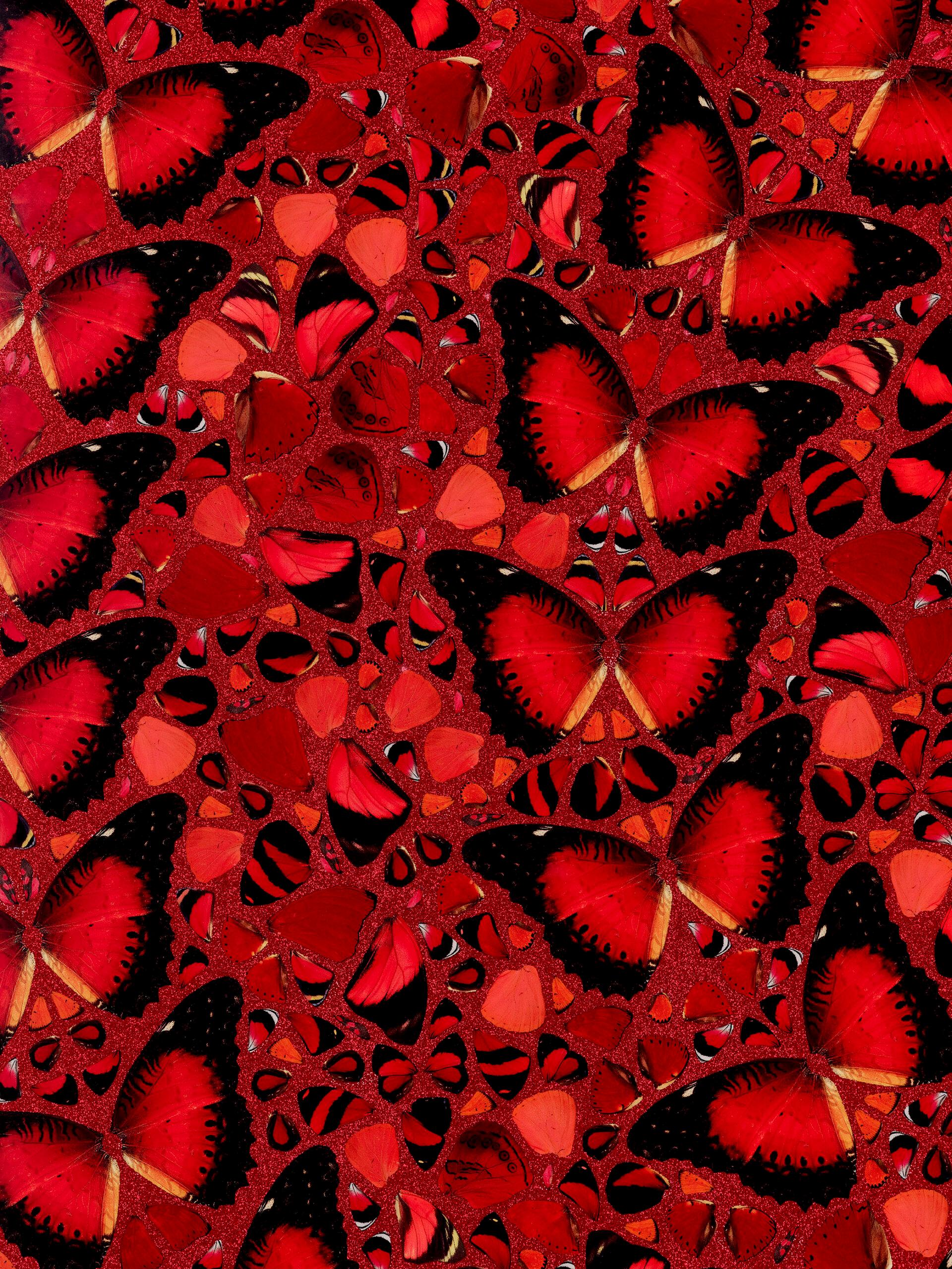 THE EMPRESSES: TAYTU BETUL - Limited Contemporary Modern Butterflies glitter red - Print by Damien Hirst