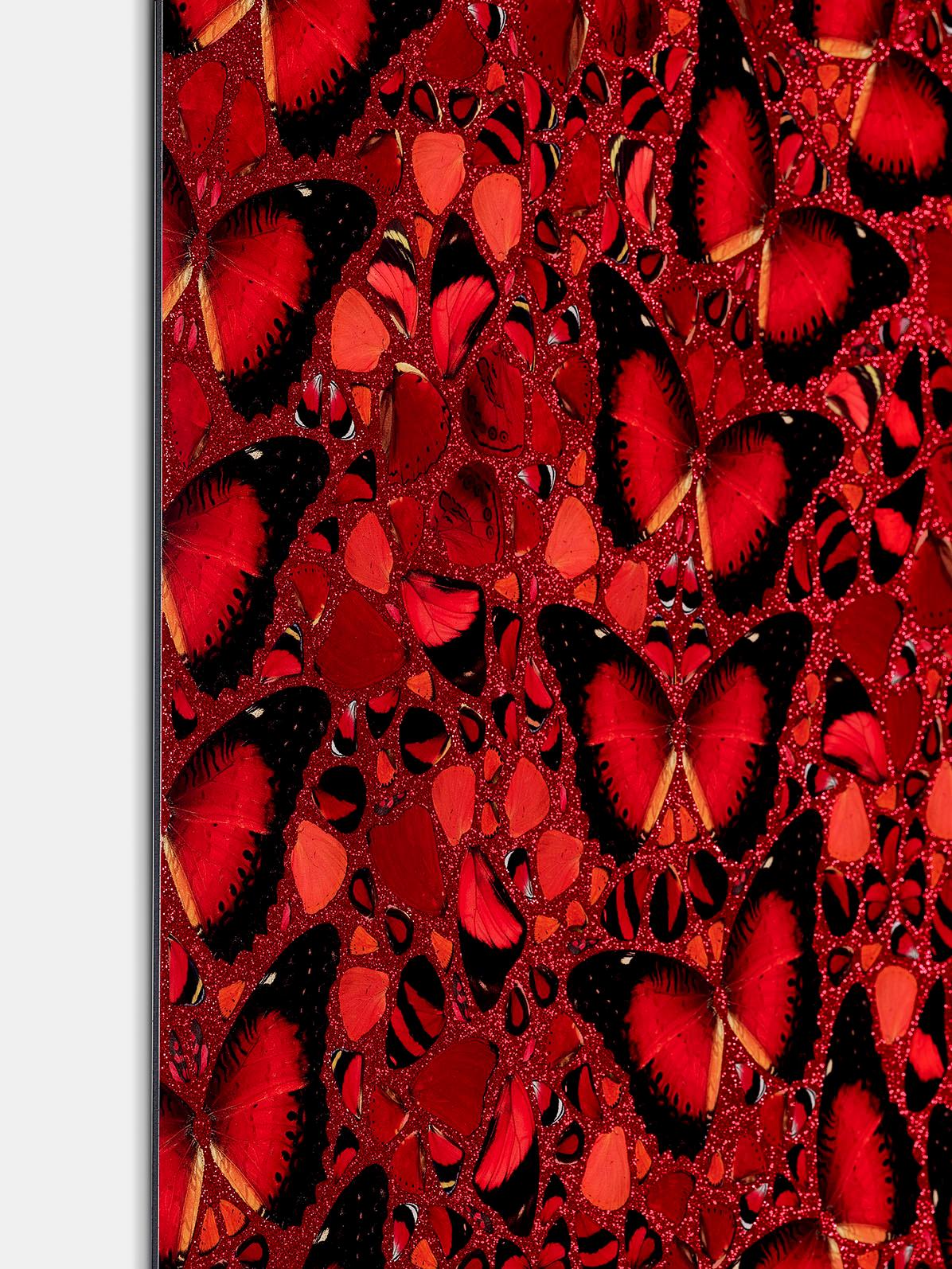 THE EMPRESSES: TAYTU BETUL - Limited Contemporary Modern Butterflies glitter red 2