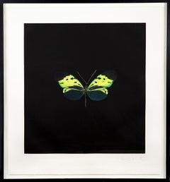 Damien Hirst The Souls on Jacobs Ladder Take Their Flight Green Butterfly 07