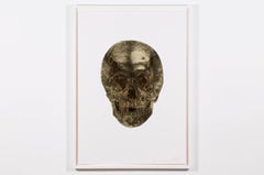 Death or Glory - Glorius Skull (Cool Gold - European Gold)