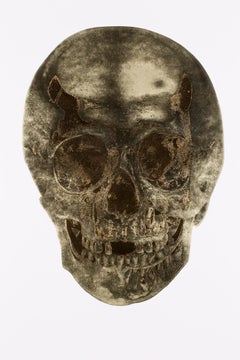 Death or Glory - Glorius Skull (Cool Gold - European Gold)