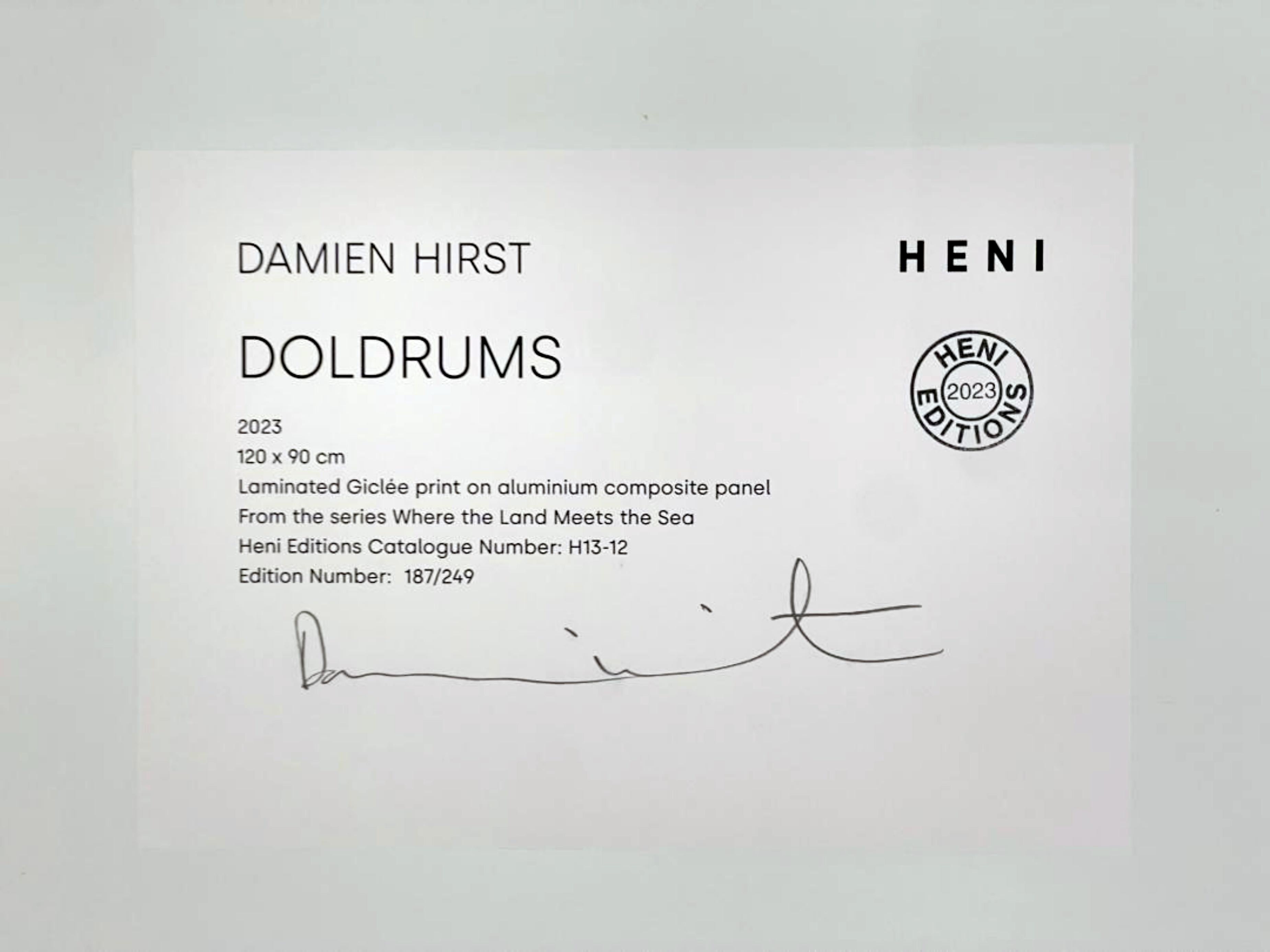 Doldrums, H13-12, von Where the Land Meets the Sea (Hand signierte Mischtechniken) (Pop-Art), Print, von Damien Hirst
