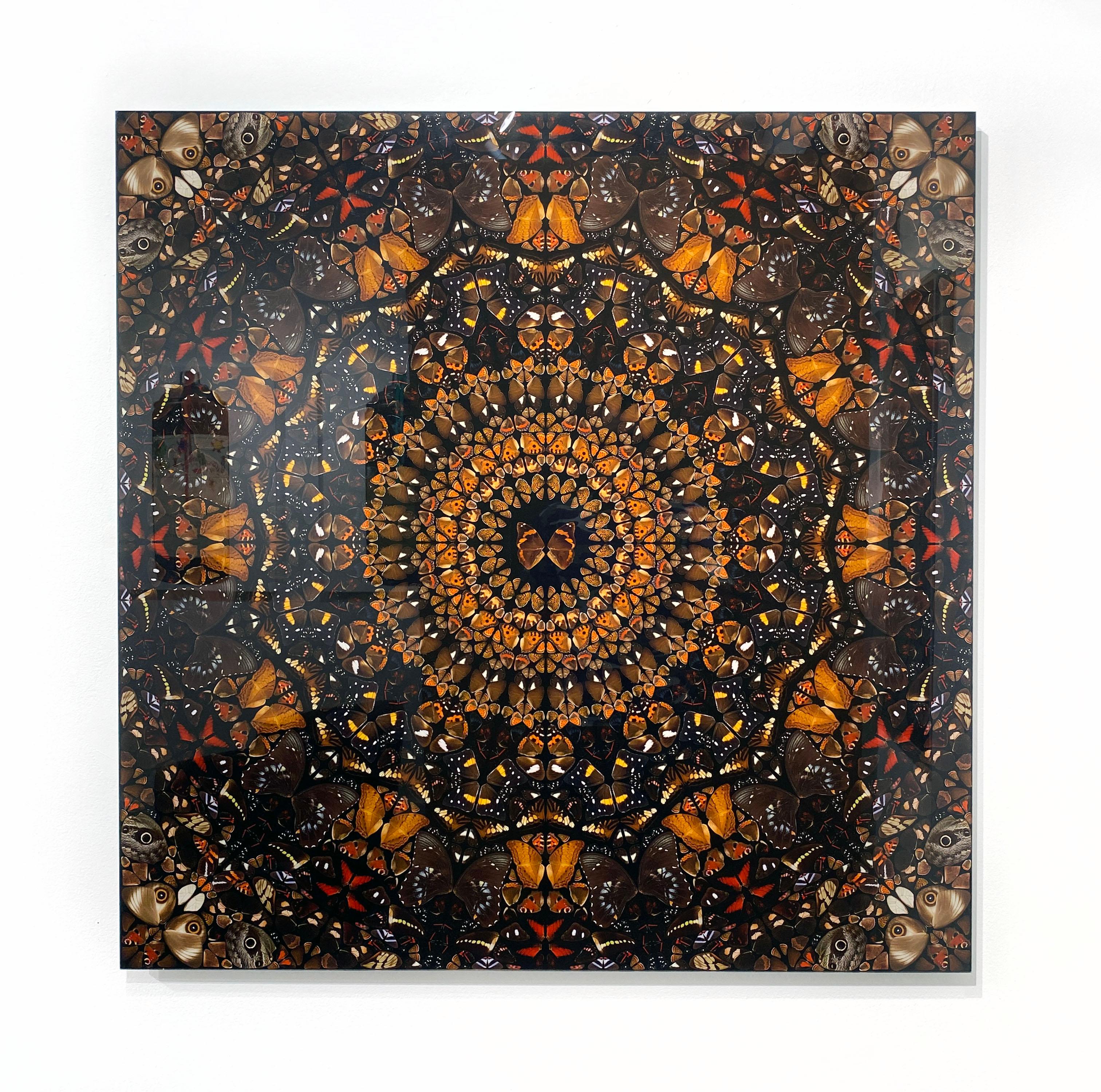 Earth - Young British Artists (YBA) Print by Damien Hirst