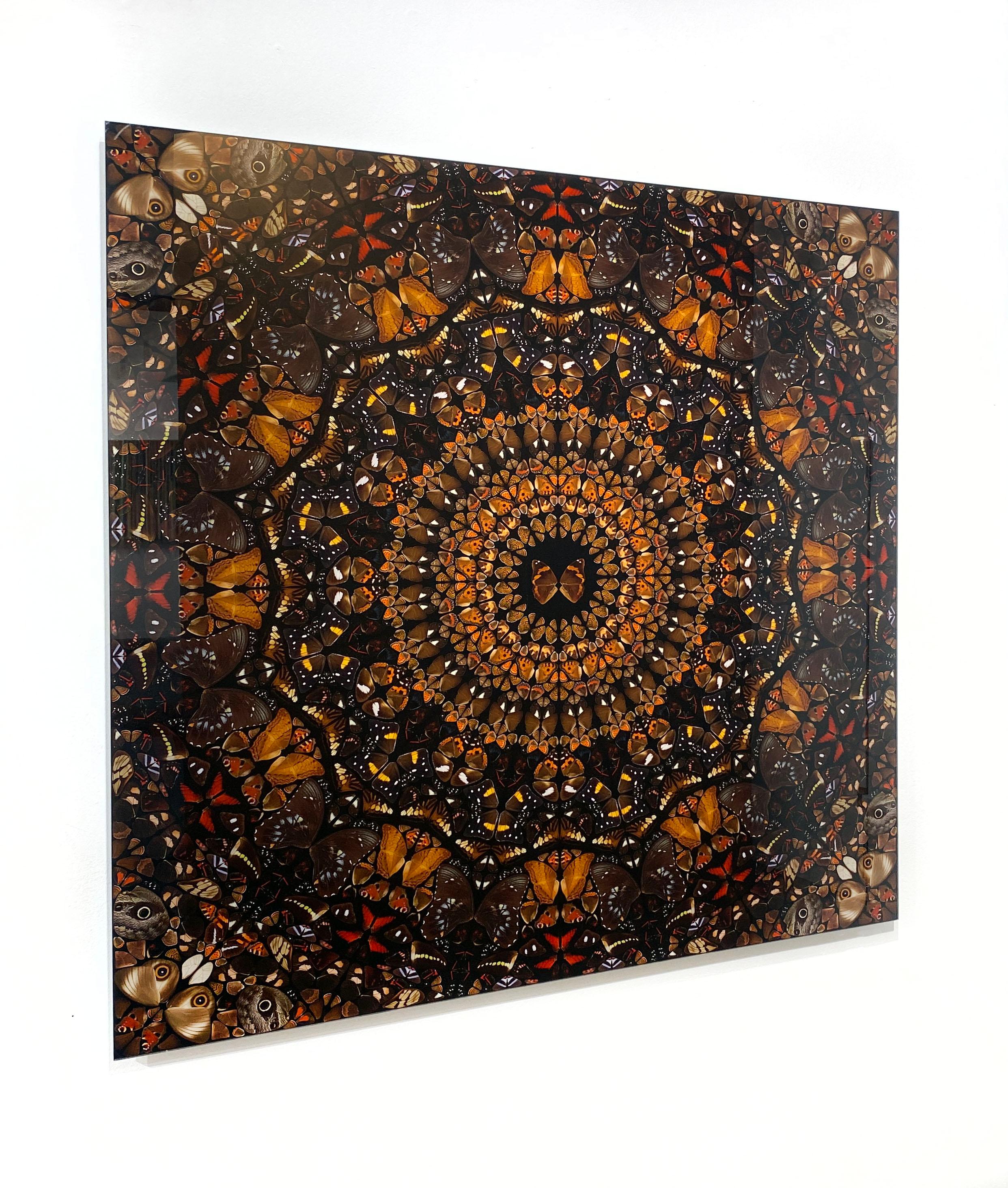 Artist:  Hirst, Damien
Title:  Earth
Series:  The Elements
Date:  2020
Medium:  Diasec-mounted Giclee print on aluminium composite panel
Unframed Dimensions:  39.37