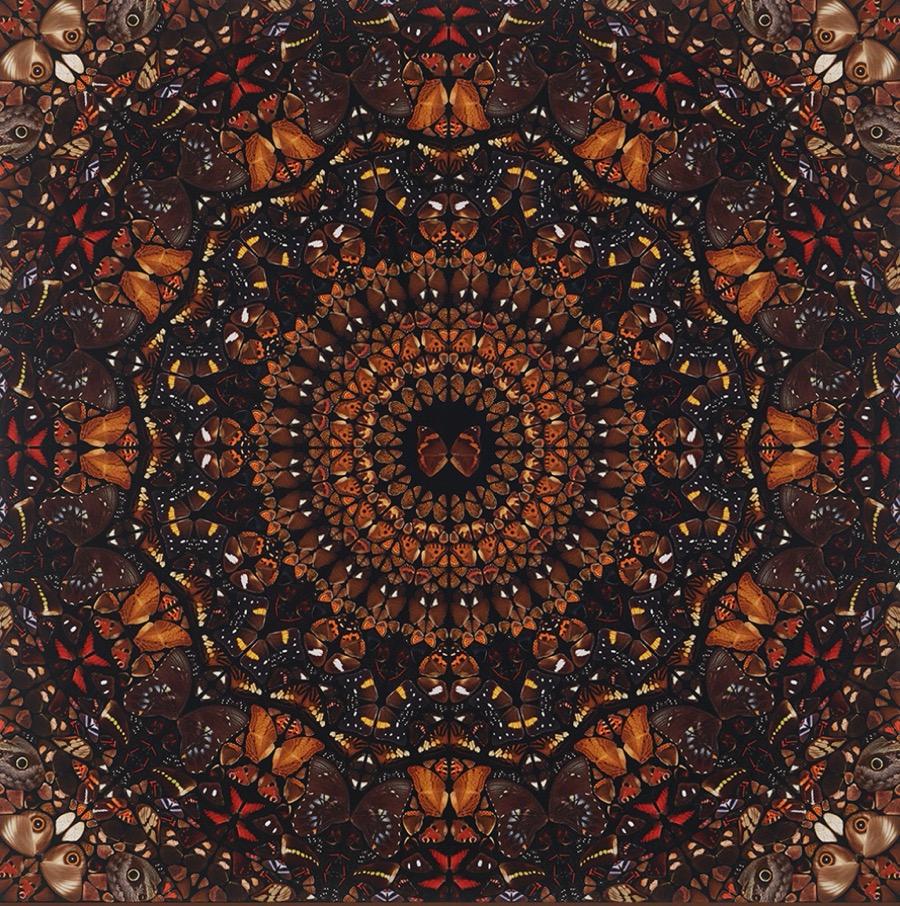Earth - Print by Damien Hirst