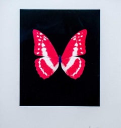 Eternal Rest By Damien HIrst