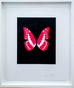 Eternal Rest By Damien HIrst