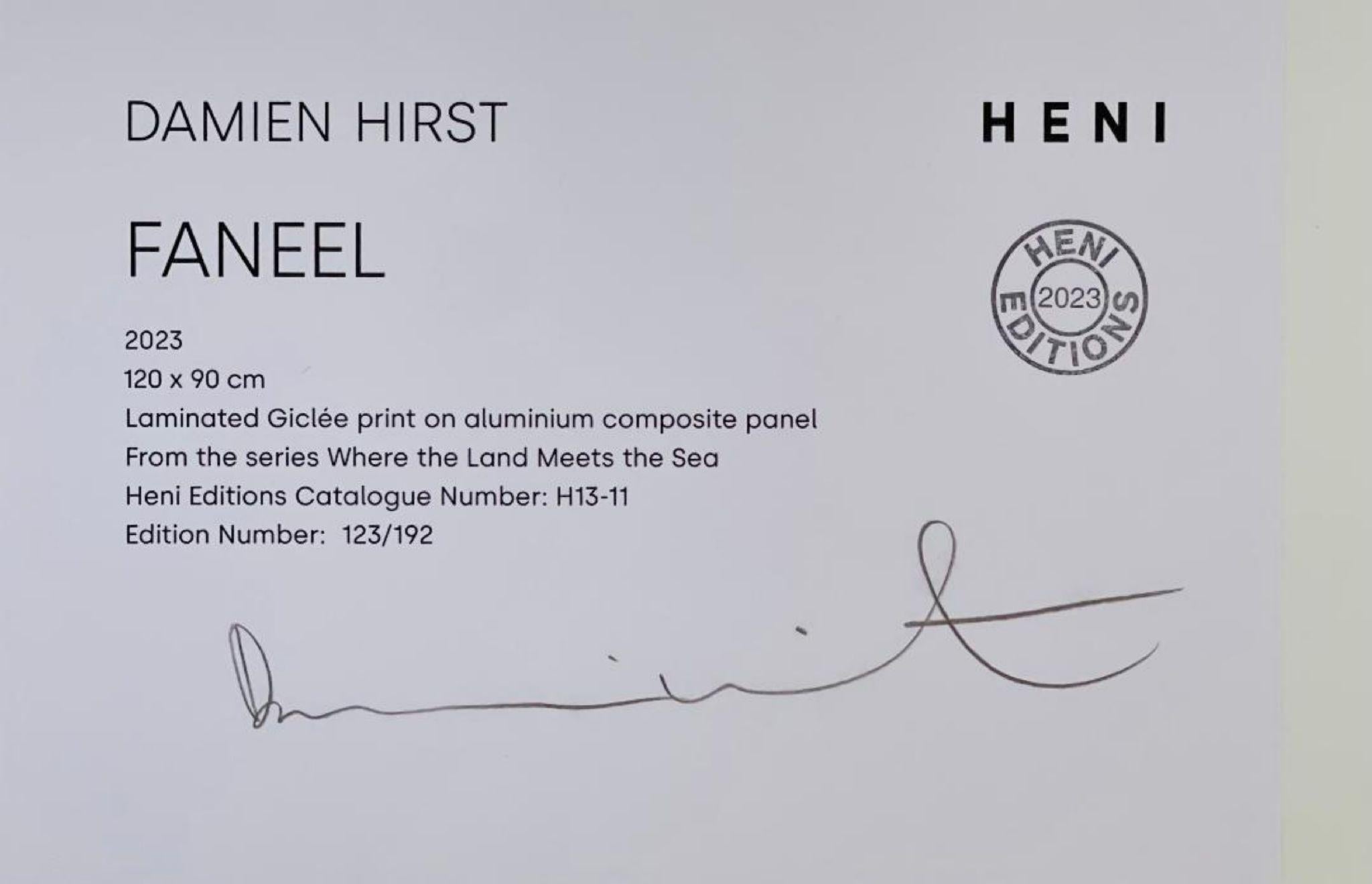 Faneel H13-11 de Donde la tierra se encuentra con el mar sobre panel de aluminio, Firmado a mano/N - Print Arte pop de Damien Hirst