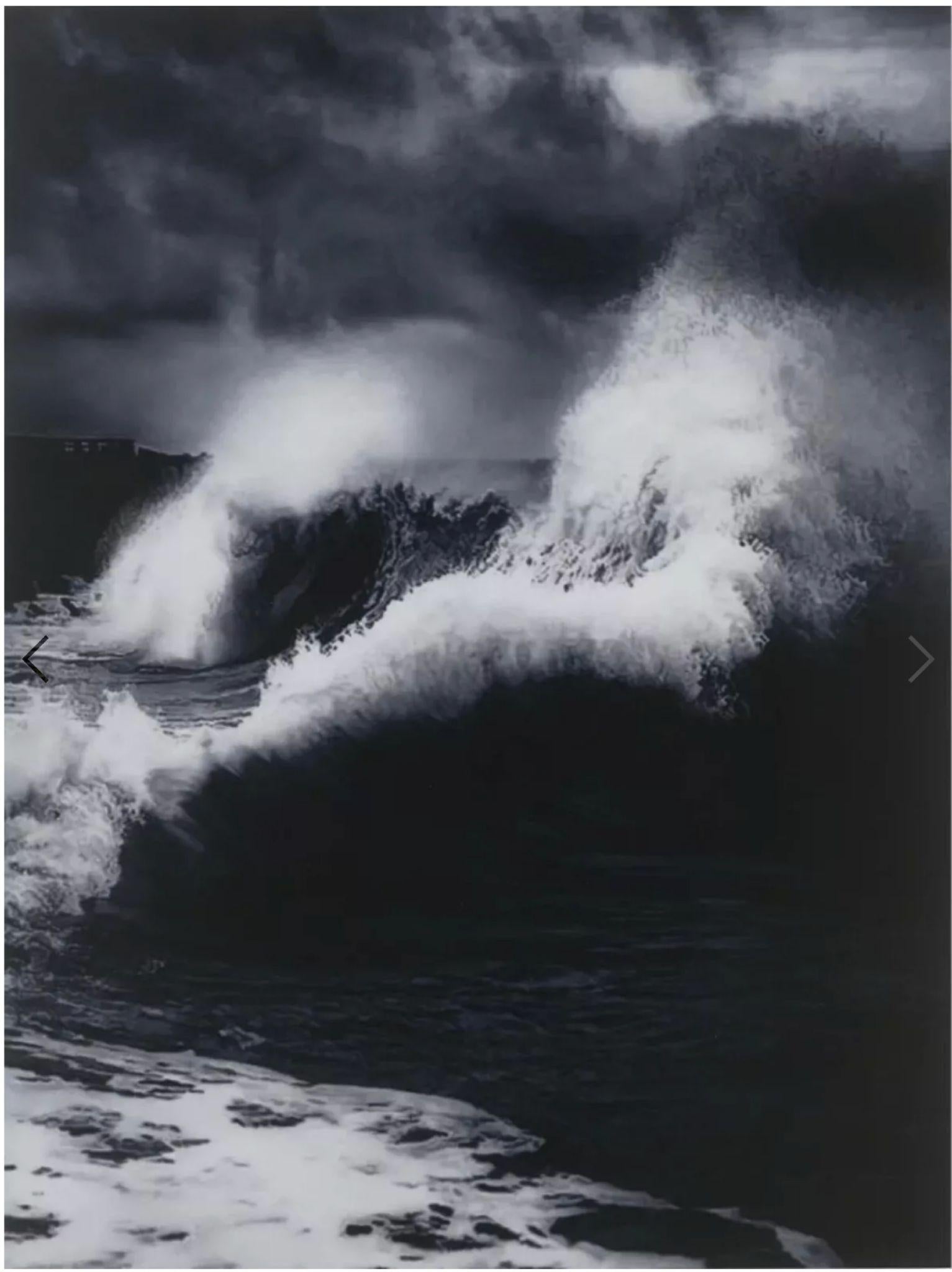 Faneel H13-11 da Where the Land Meets the Sea su pannello di alluminio, firmato a mano/N