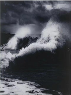 Faneel H13-11 from Where the Land Meets the Sea on aluminum panel, Hand signed/N
