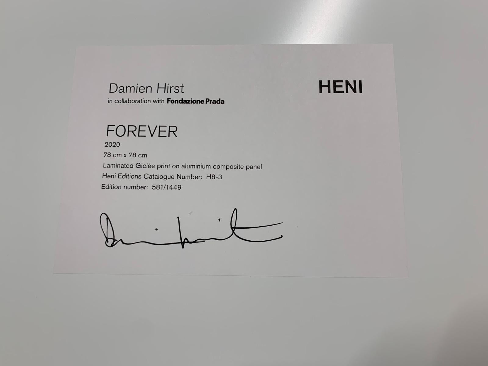 Forever (large) - Damien Hirst, Contemporary Art, 21st Century, YBAs, Colorful, Giclée Print, Brush Stokes, Paint, Glossy, Limited Edition

Laminated Giclée print on aluminium composite panel
Edition 581 of 1449
Signed and numbered on label on the