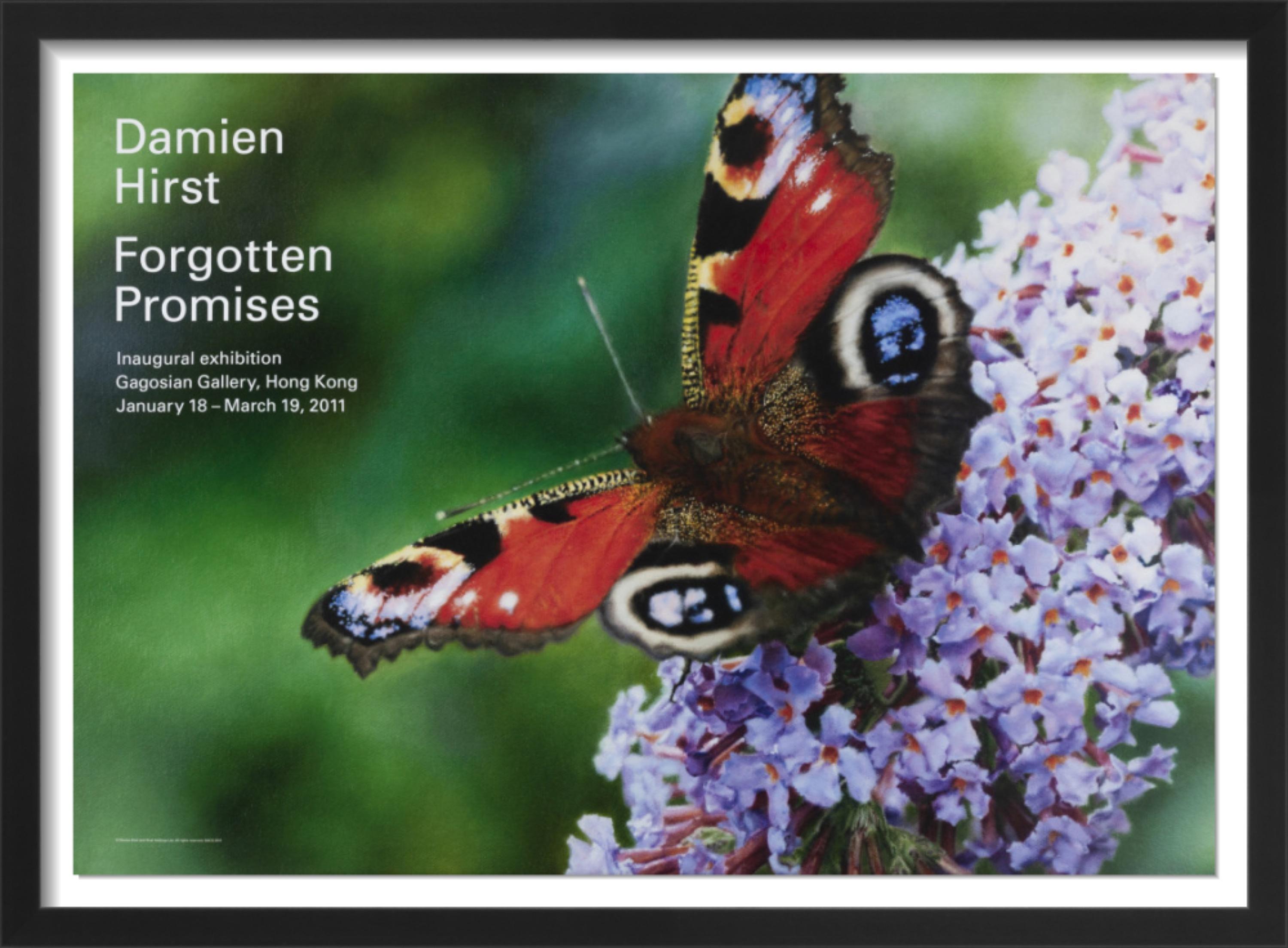 Damien Hirst Interior Print - Forgotten Promises (Inachis) (Framed)