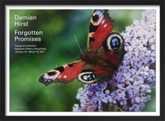 Forgotten Promises (Inachis) (Framed)