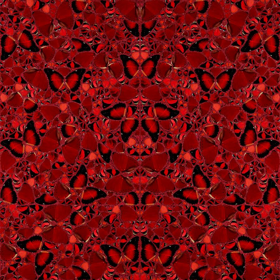 H10-3 Theodora - Print by Damien Hirst