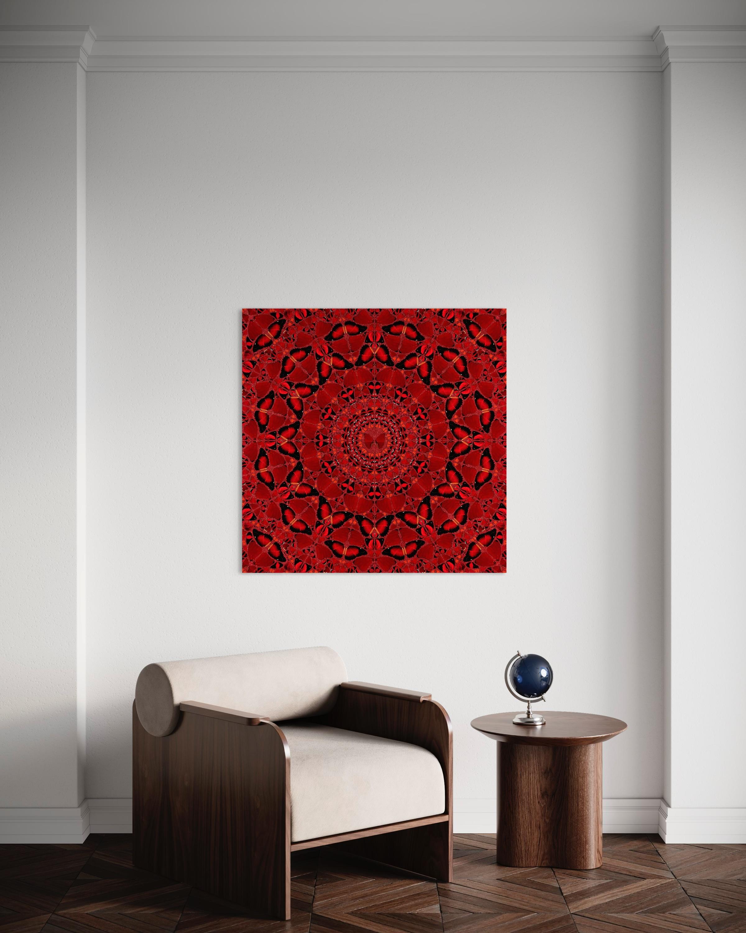 H10-4 Suiko - Red Abstract Print by Damien Hirst