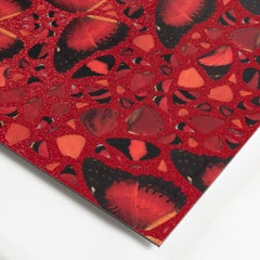 H10-5 Taytu Betul (de las Emperatrices)