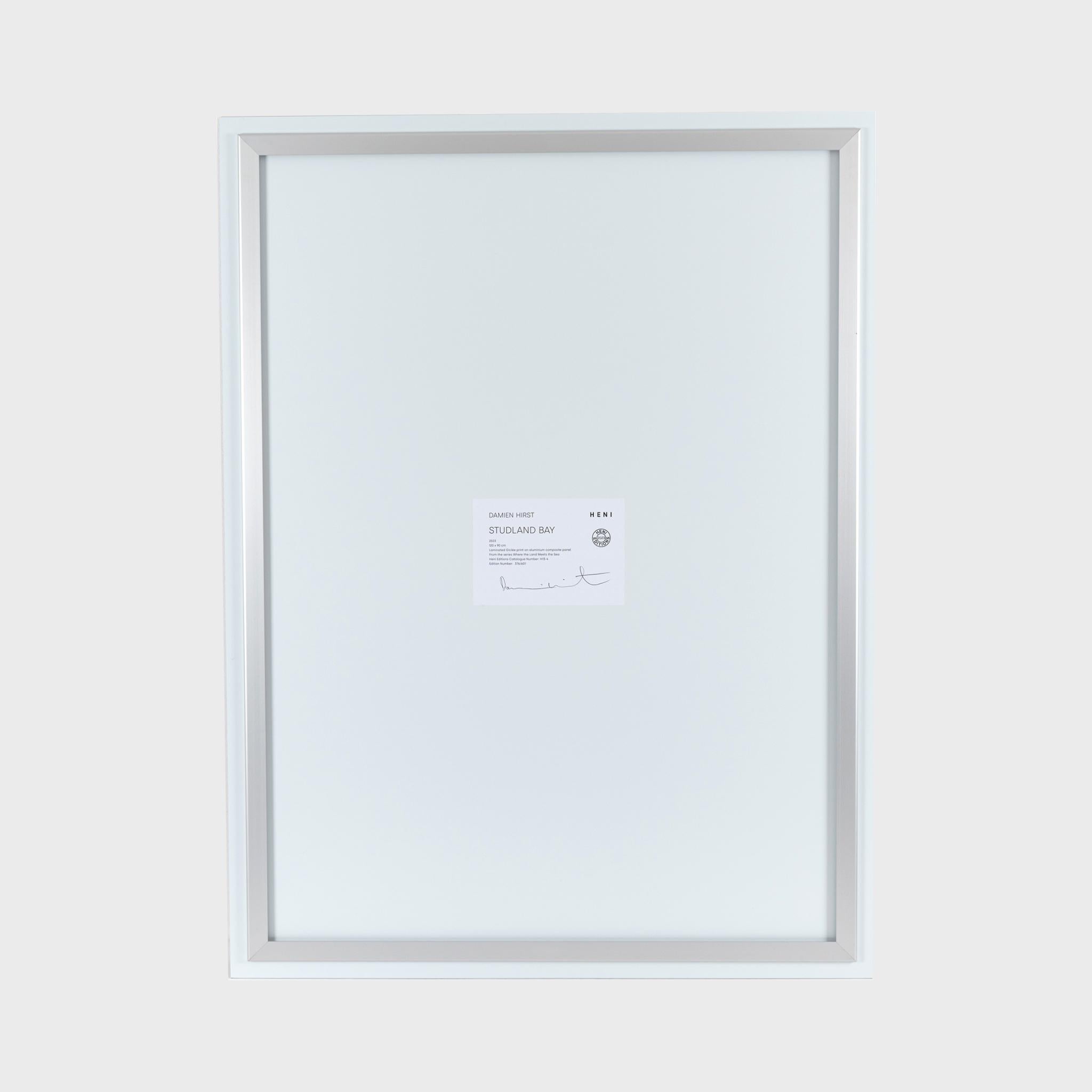 H13-4 Studland Bay (from Where the Land Meets the Sea) - Print by Damien Hirst