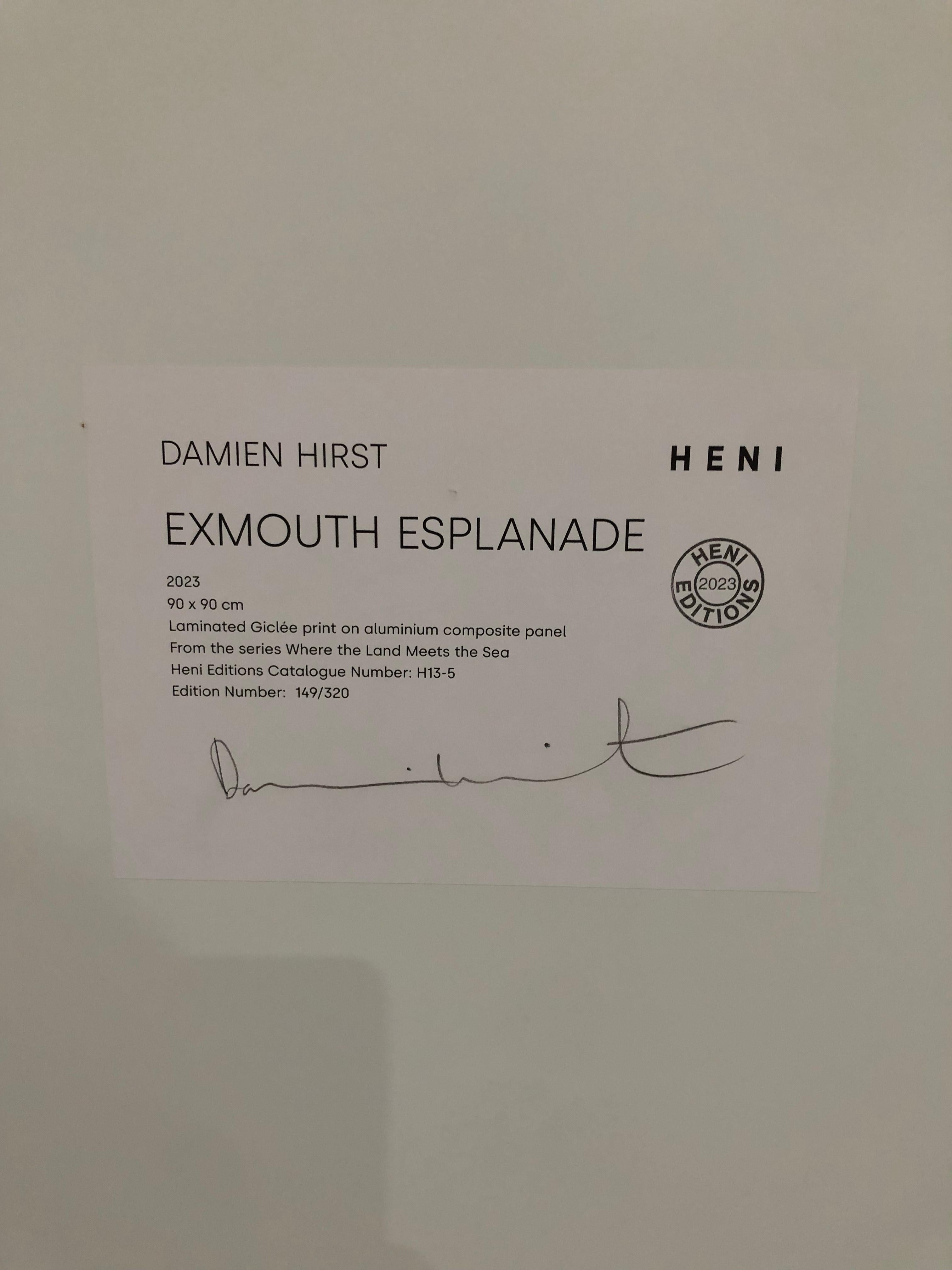 Damien Hirst - H13-5 Exmouth Esplanade - Arte contemporanea in vendita 3