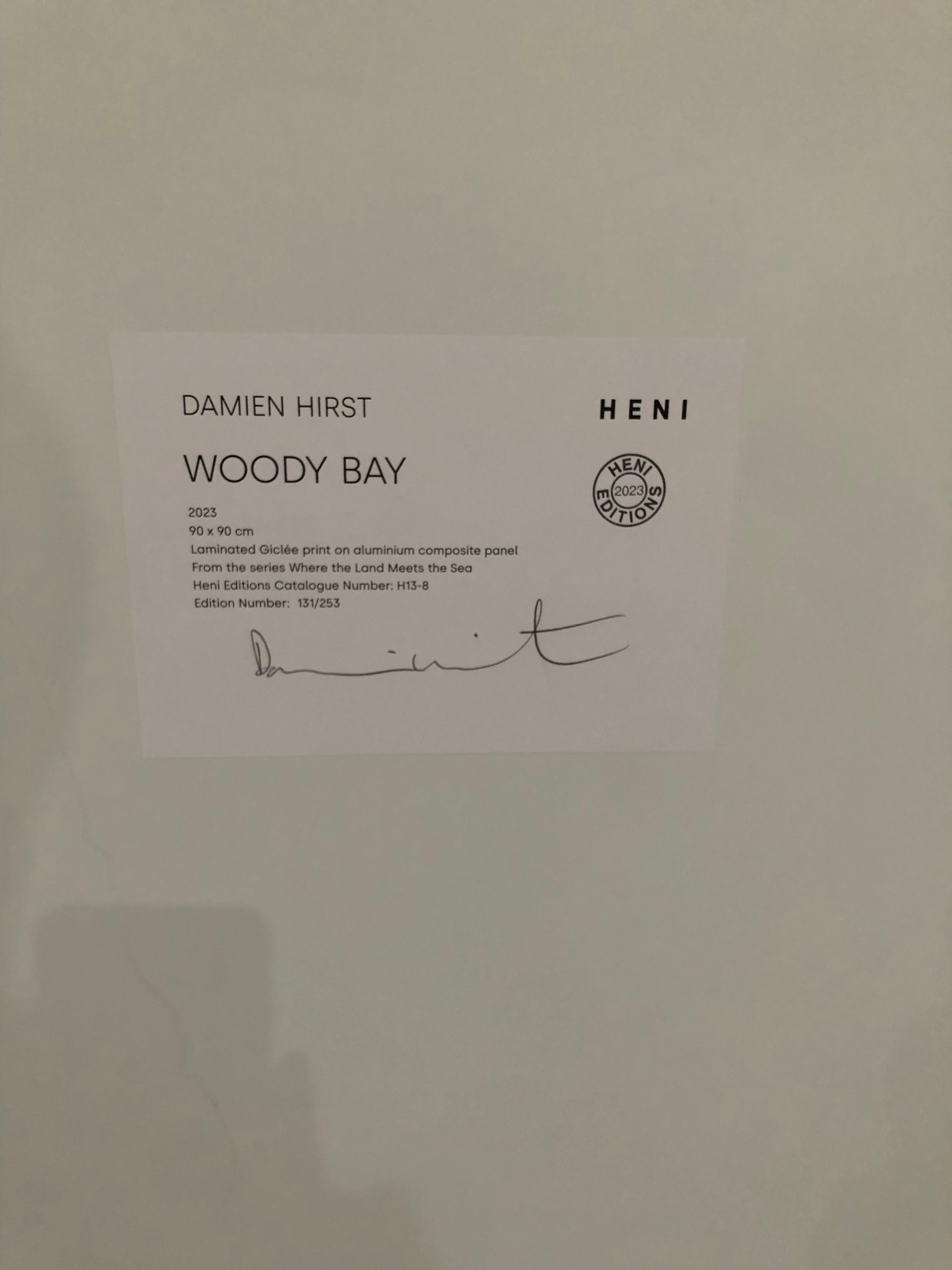 Damien Hirst - H13-8 Woody Bay - Contemporary Art en vente 3