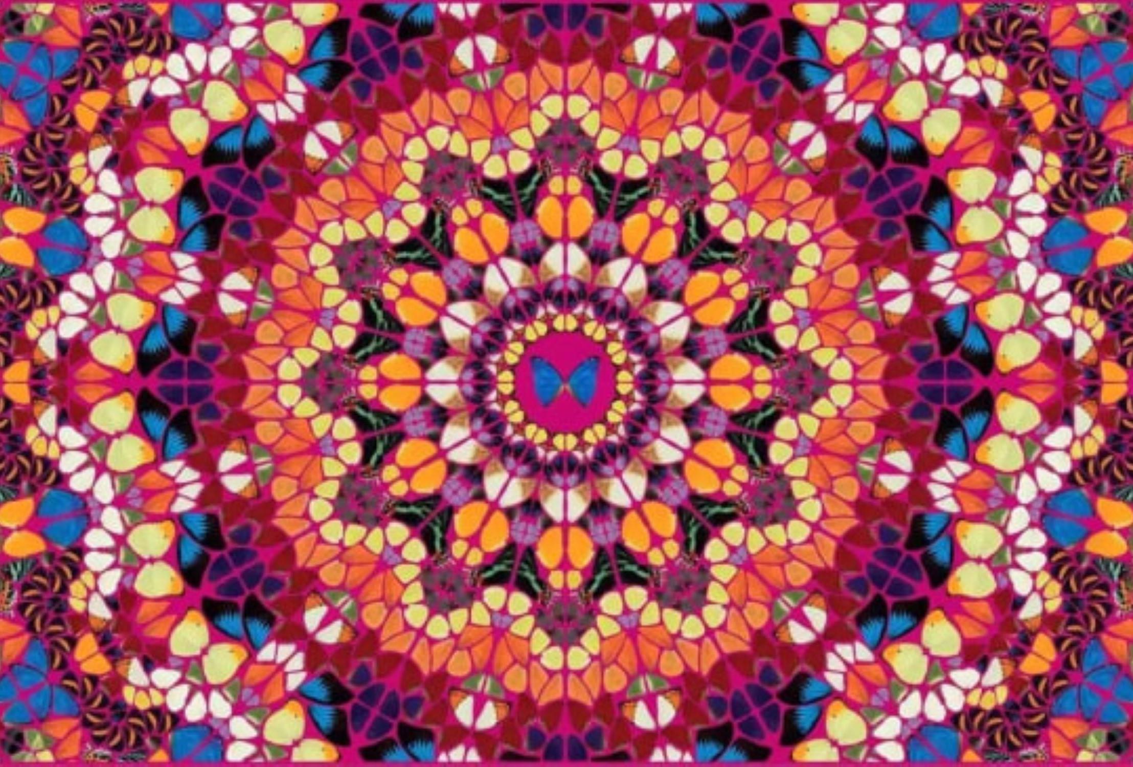 H18-3 Harlequin (The Kaleidoscopes) By Damien Hirst For Sale 1