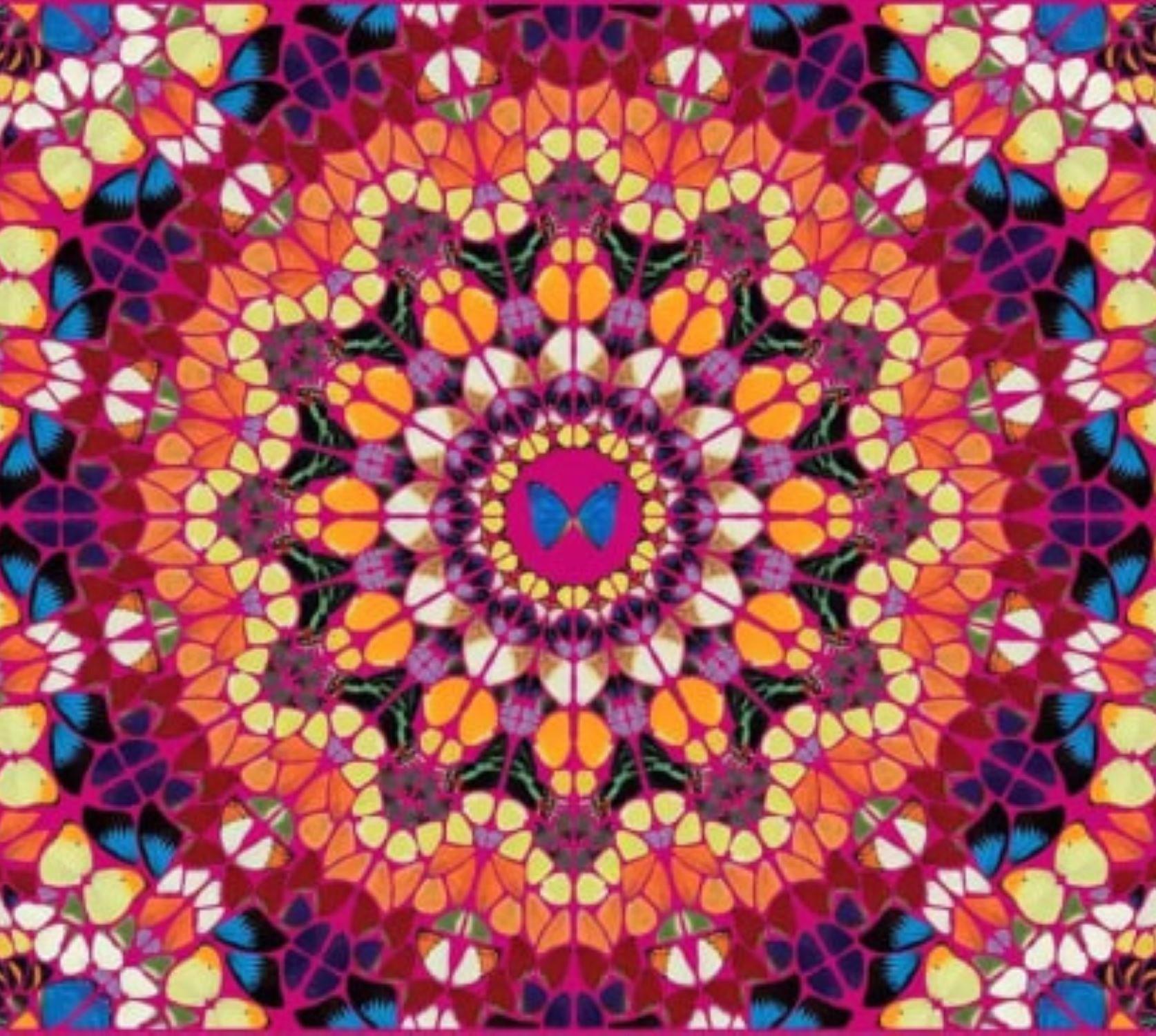 H18-3 Harlequin (The Kaleidoscopes) By Damien Hirst For Sale 2