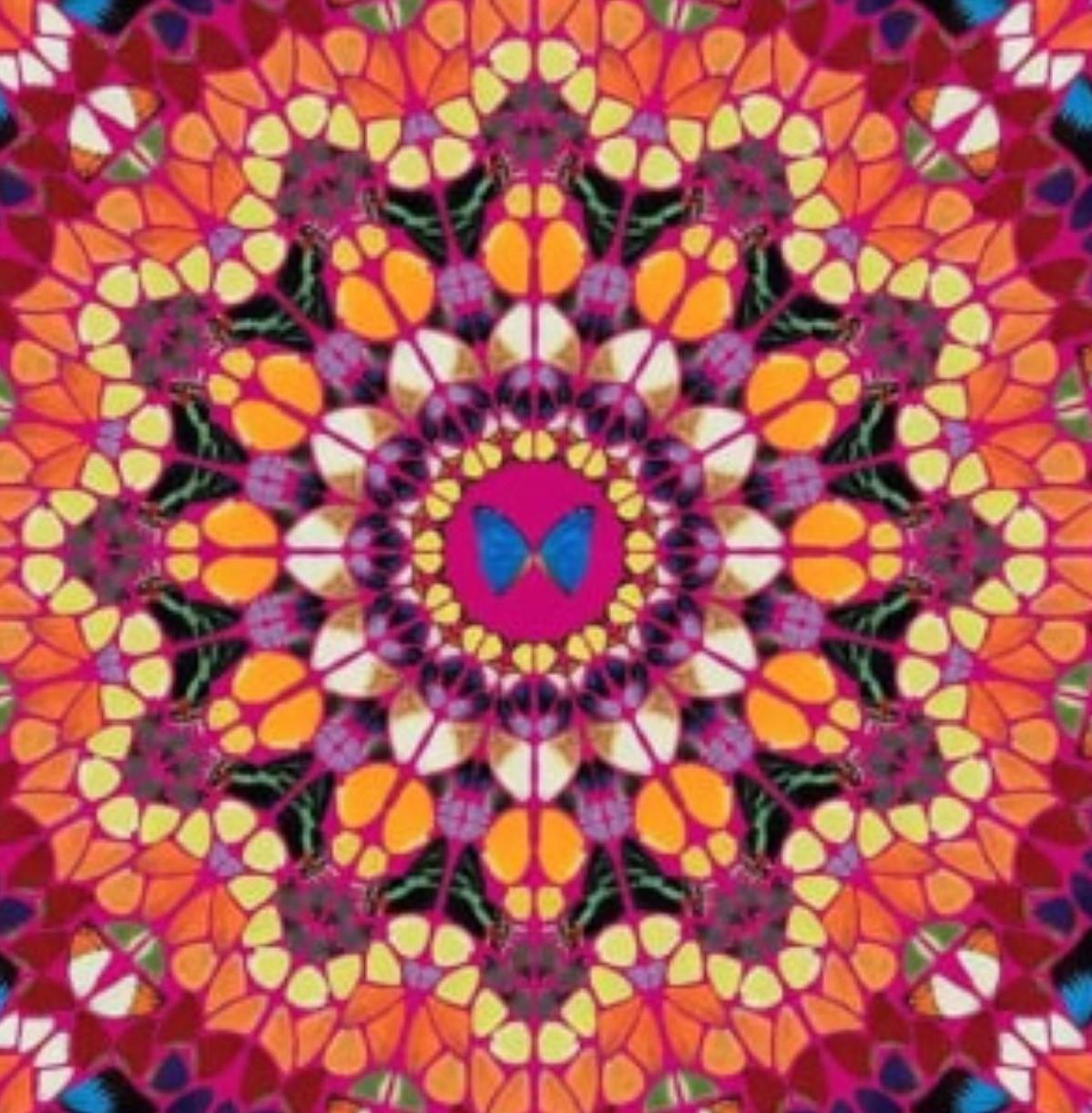H18-3 Harlequin (The Kaleidoscopes) By Damien Hirst For Sale 3