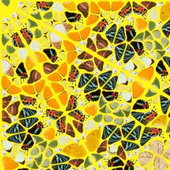 H18-4 Esplendor (de los Caleidoscopios)