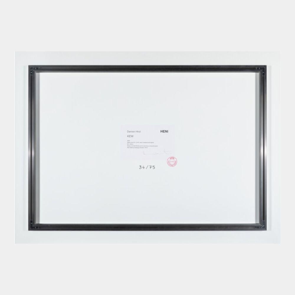 H4-6 Kew Damien Hirst abstract spot print signed limited edition For Sale 3