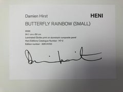 H7-2 Butterfly Rainbow Giclée Print on Aluminium Panel