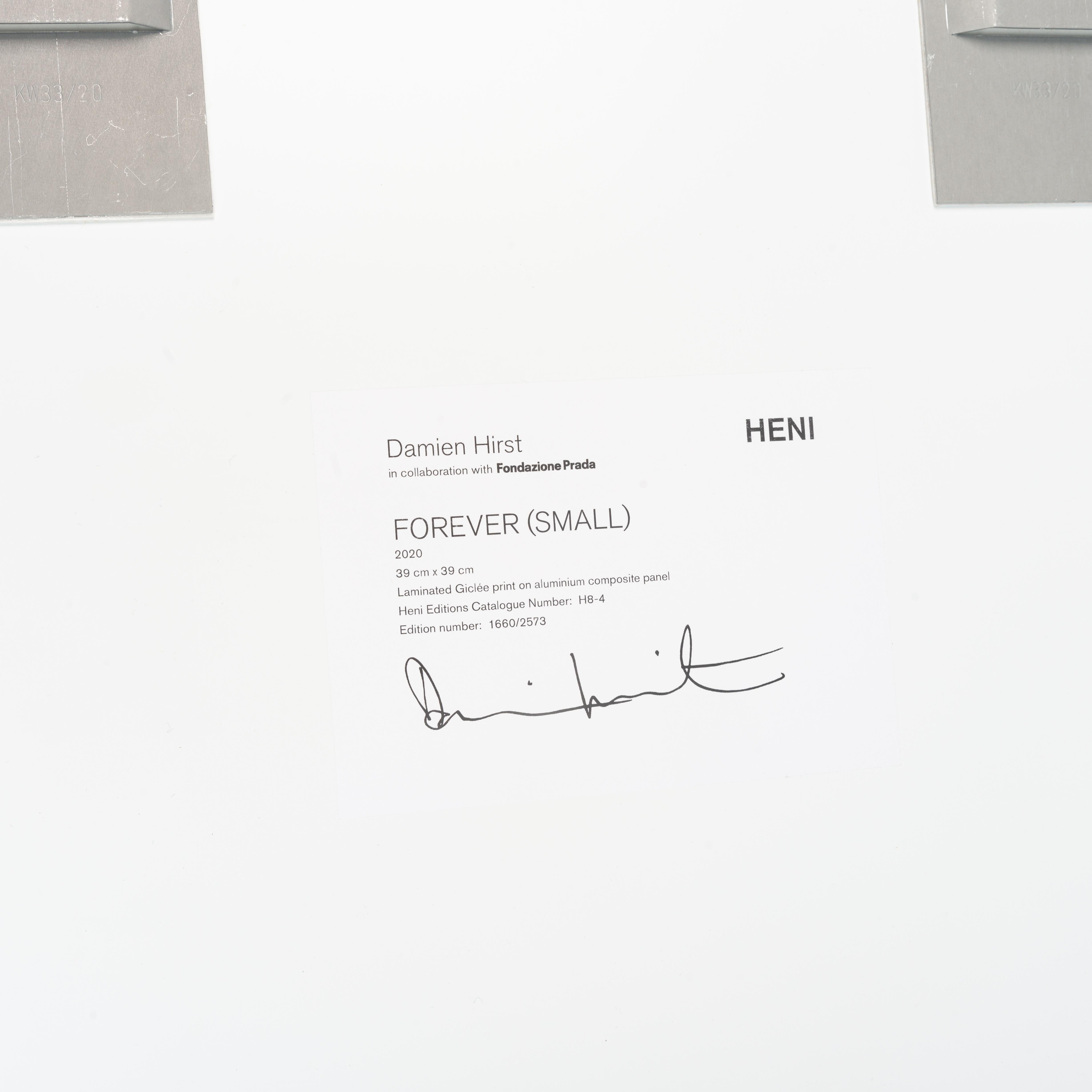 H8-4 Forever (Small) - Contemporary Print by Damien Hirst