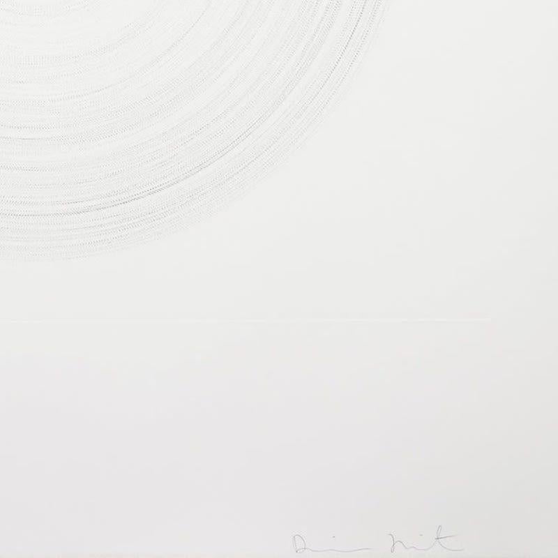 Helter Skelter (from In a Spin, the Action of the World on Things, Volume II) - Print by Damien Hirst