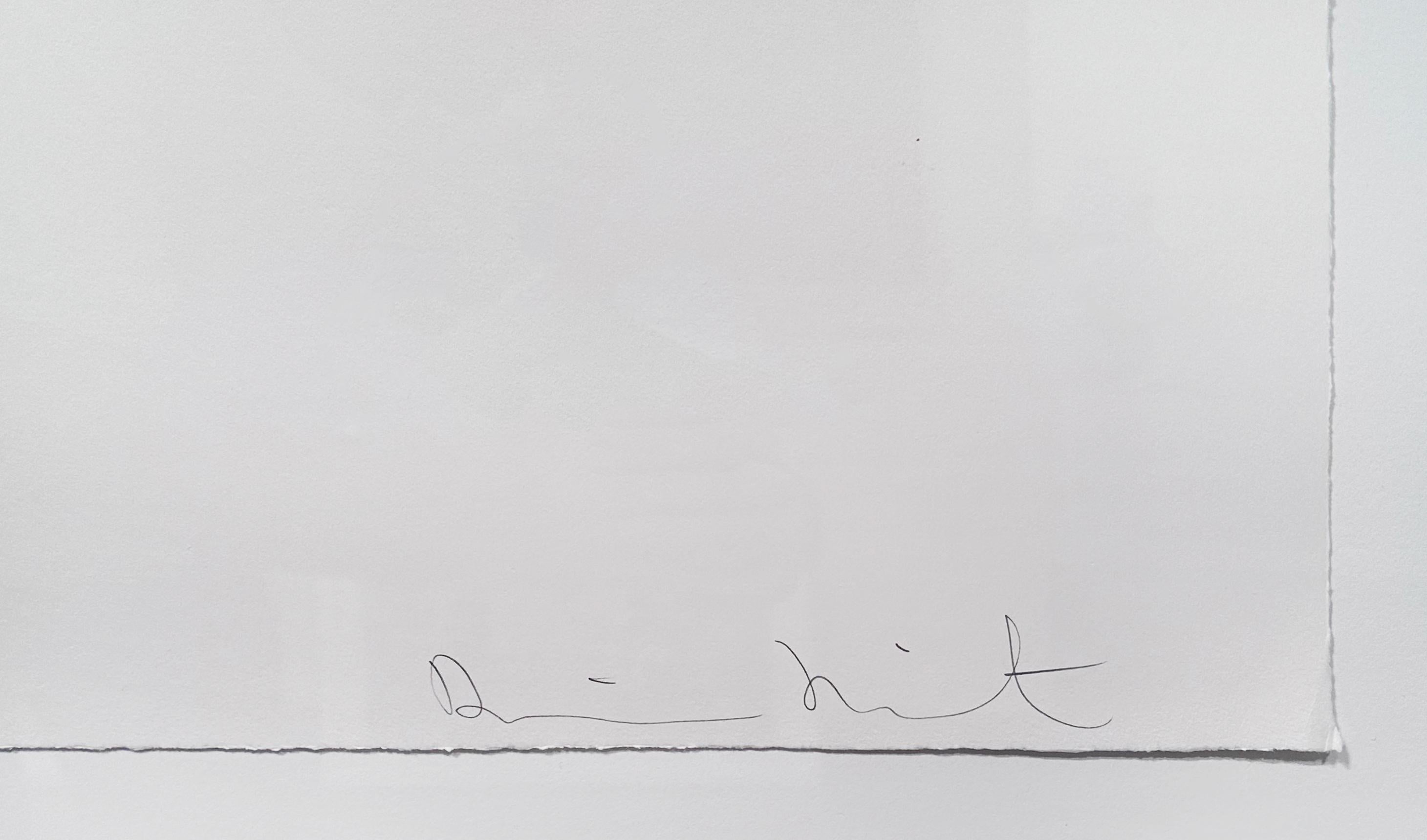 Je me déplace  - Gris Abstract Print par Damien Hirst