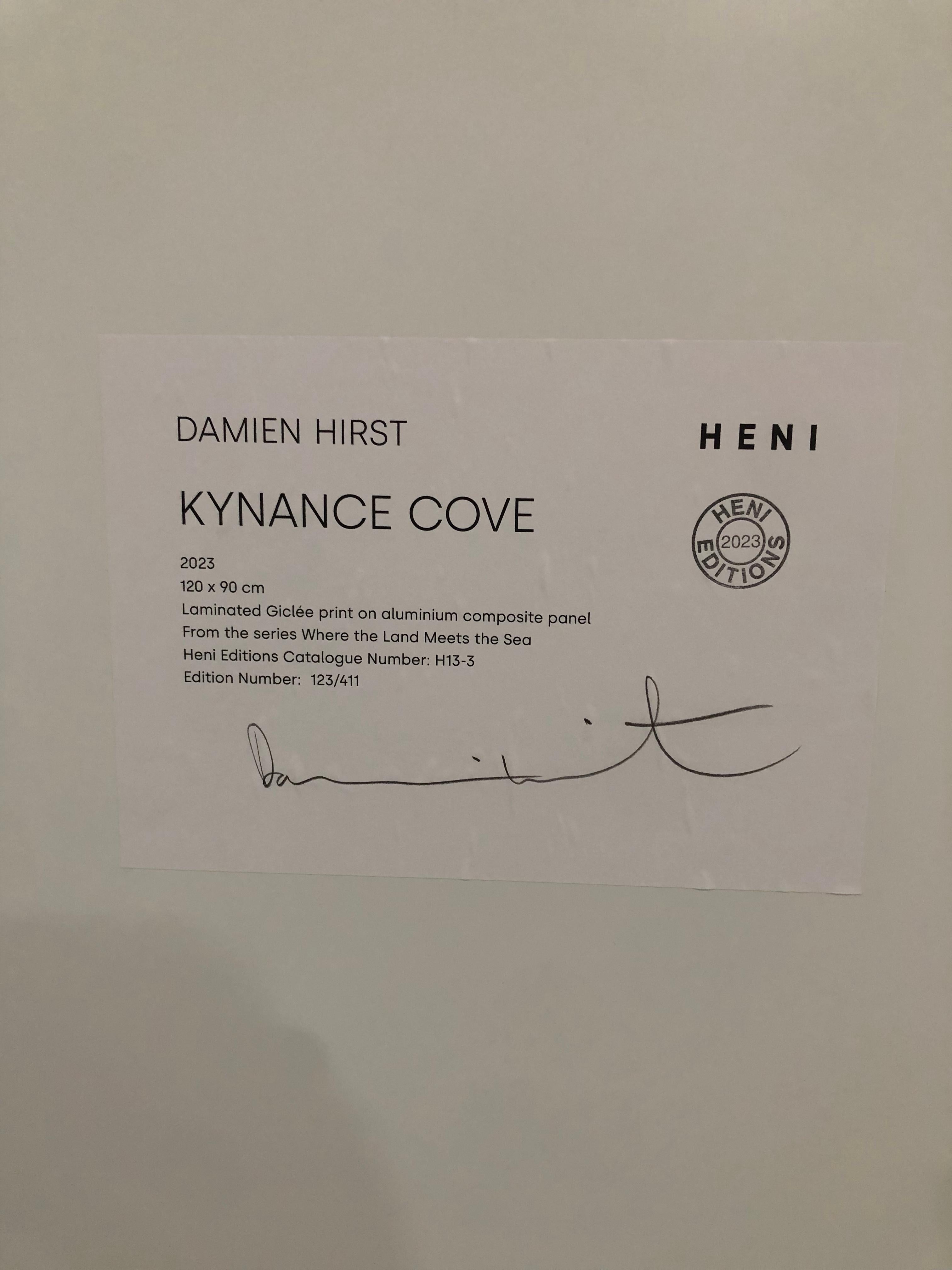 Kynance Cove - Gray Abstract Print by Damien Hirst