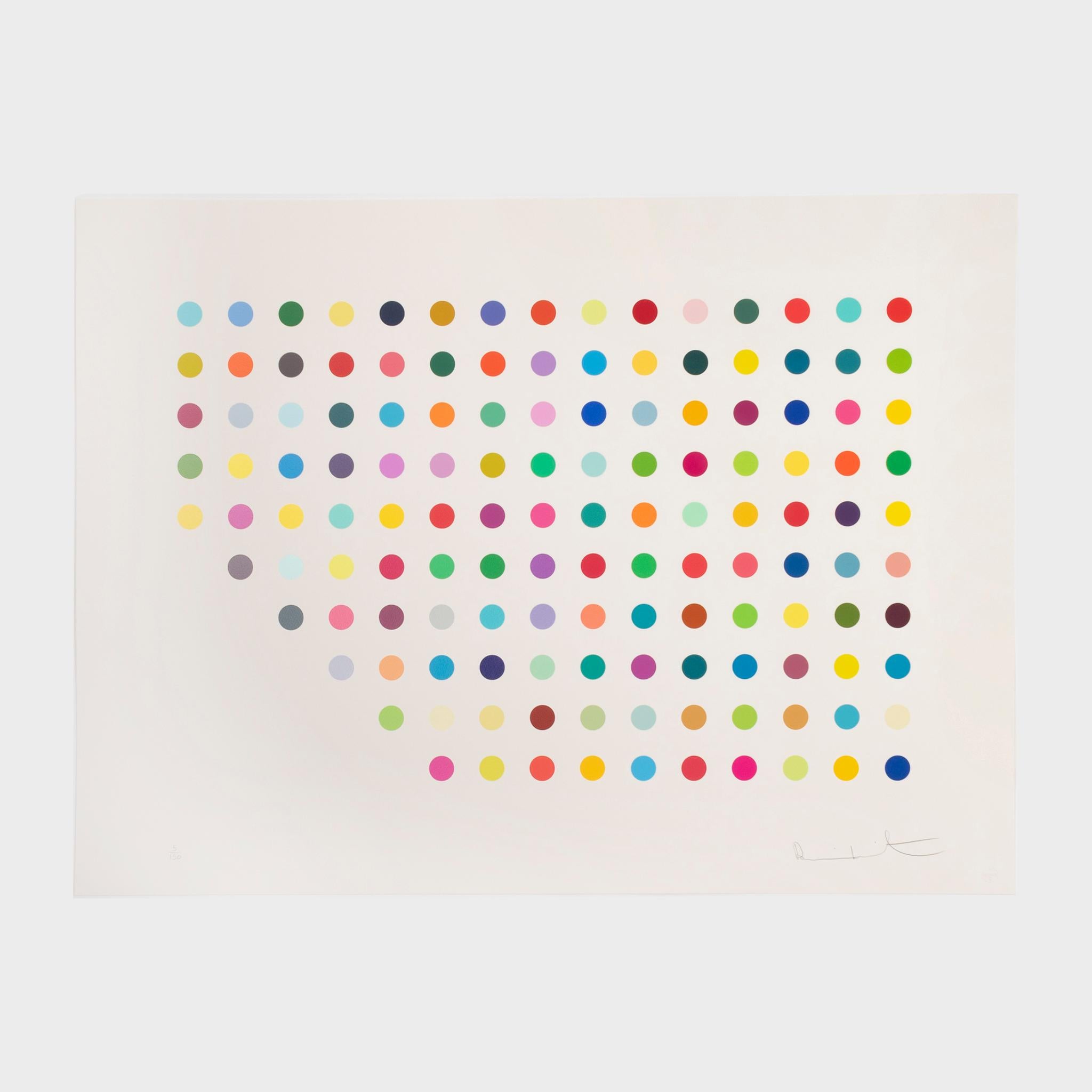 Damien Hirst Abstract Print - Meprobamate Screenprint on Somerset Paper, Signed, 21st Century