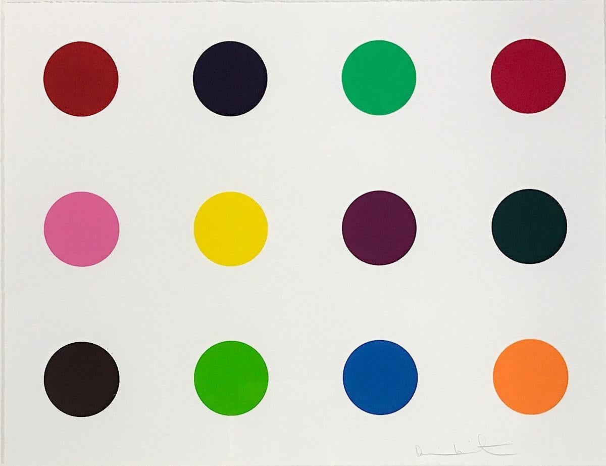 Damien Hirst Abstract Print - 'Methionine', Damien Hurst, Woodblock Print, One Edition only, Framed and Signed