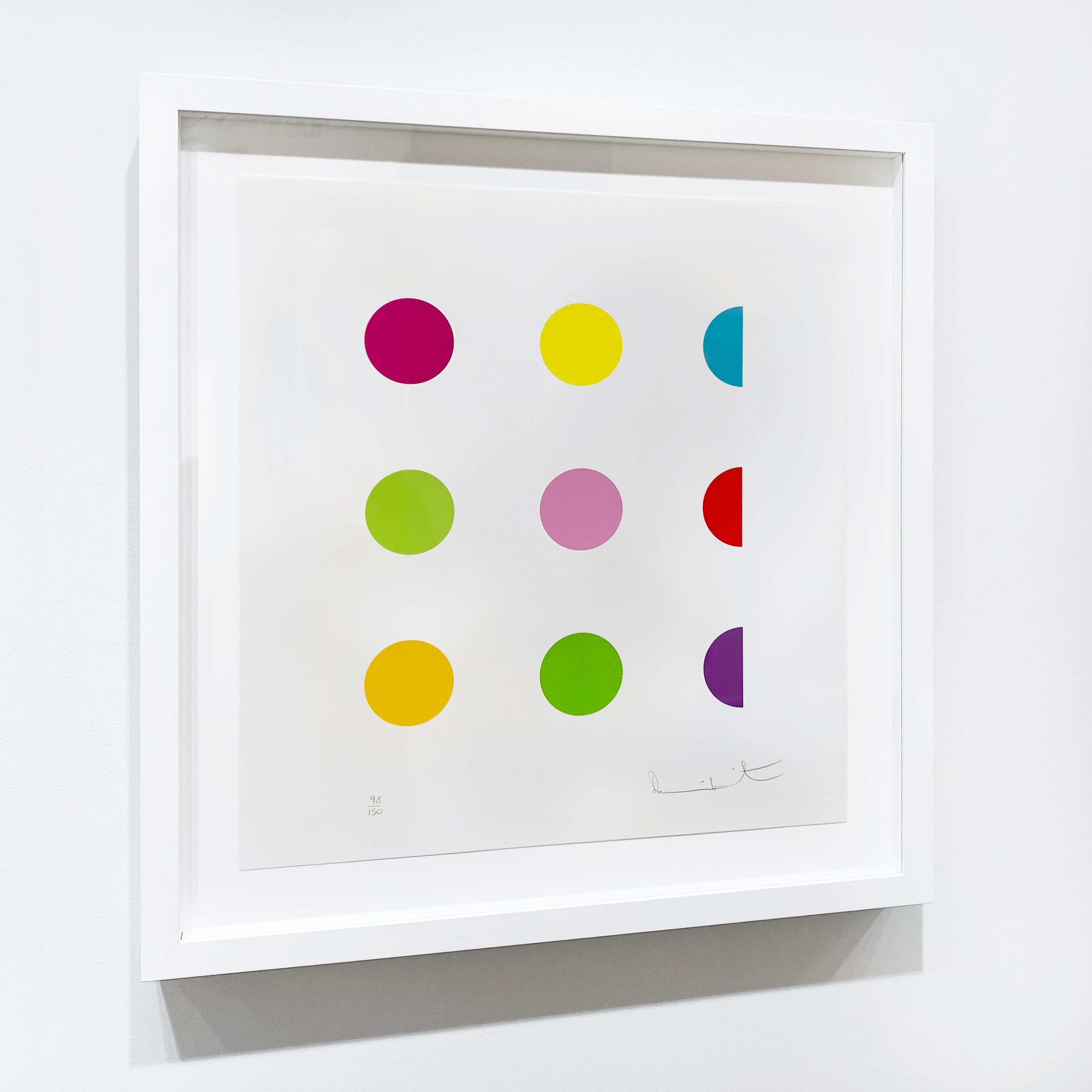 N-Methyl L-Aspartic Acid - Young British Artists (YBA) Print by Damien Hirst